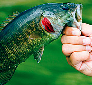 手机号码轰炸app免费